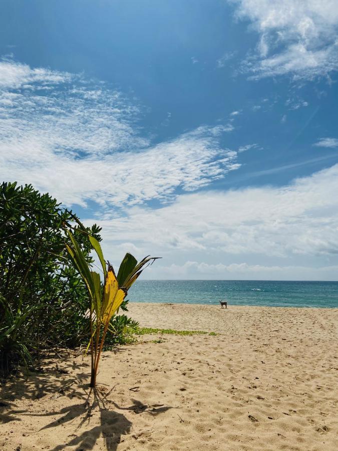 Sanjis The Seaside Cabanas Tangalle Bagian luar foto
