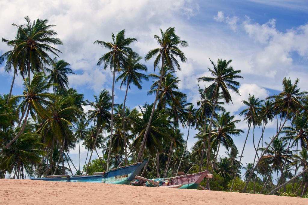 Sanjis The Seaside Cabanas Tangalle Bagian luar foto